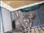 Tills